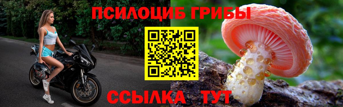 Норильск  Псилоцибиновые грибы MAGIC MUSHROOMS  Вход с VPN 